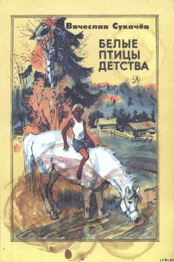 Читать онлайн книгу Белые птицы детства автор Сукачев Вячеслав Викторович Книга Белые птицы детства