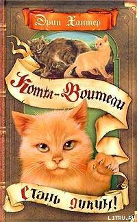 Читать онлайн книгу Стань диким! автор Хантер Эрин Книга Стань диким!
