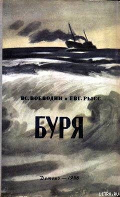 Читать онлайн книгу Буря автор Воеводин Всеволод Петрович Книга Буря