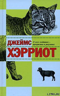 Читать онлайн книгу О всех созданиях – прекрасных и удивительных автор Хэрриот Джеймс Книга О всех созданиях – прекрасных и удивительных