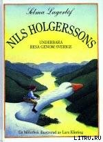Читать онлайн книгу Nils Holgerssons underbara resa genom Sverige автор Lagerlof Selma Ottiliana Lovisa Книга Nils Holgerssons underbara resa genom Sverige