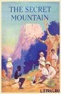 Читать онлайн книгу The Secret Mountain автор Blyton Enid Книга The Secret Mountain