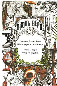 Читать онлайн книгу Вторая родина автор Верн Жюль Габриэль Книга Вторая родина