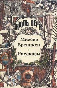 Читать онлайн книгу Мартин Пас автор Верн Жюль Габриэль Книга Мартин Пас