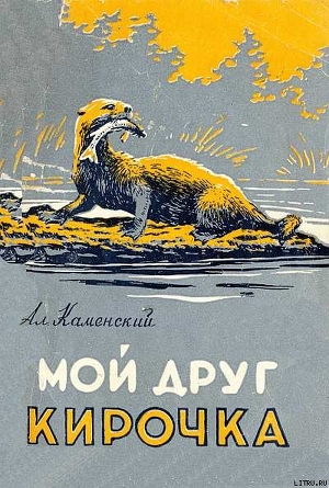 Читать онлайн книгу Мой друг Кирочка автор Каменский Александр Владимирович Книга Мой друг Кирочка
