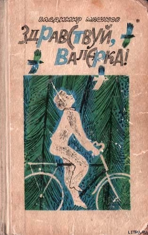 Читать онлайн книгу Веселая дюжина автор Машков Владимир Георгиевич Книга Веселая дюжина
