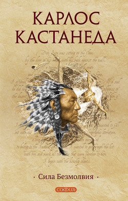 Читать онлайн книгу Сила безмолвия автор Кастанеда Карлос Книга Сила безмолвия