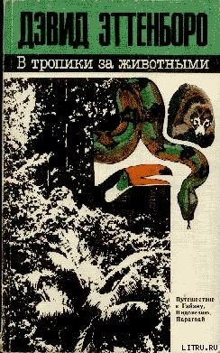 Читать онлайн книгу В тропики за животными автор Эттенборо Дэвид Книга В тропики за животными