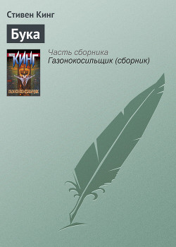 Читать онлайн книгу И пришел бука автор Кинг Стивен Книга И пришел бука