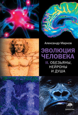 Читать онлайн книгу Эволюция человека том 2: Обезьяны нейроны и душа автор Марков Александр Владимирович (биолог) Книга Эволюция человека том 2: Обезьяны нейроны и душа