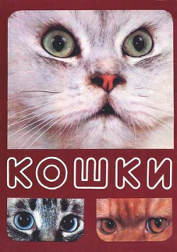 Читать онлайн книгу Кошки автор Непомнящий Николай Николаевич Книга Кошки