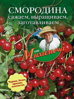 Читать онлайн книгу Бахчевые культуры. Сажаем, выращиваем, заготавливаем, лечимся автор Звонарев Николай Михайлович Книга Бахчевые культуры. Сажаем, выращиваем, заготавливаем, лечимся