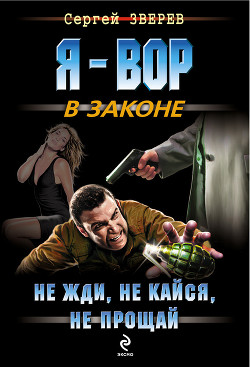 Читать онлайн книгу Не жди, не кайся, не прощай автор Зверев Сергей Иванович Книга Не жди, не кайся, не прощай