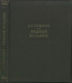 Читать онлайн книгу Медный всадник автор Пушкин Александр Сергеевич Книга Медный всадник