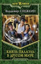 Читать онлайн книгу Князь Палаэль. В другом мире автор Снежкин Владимир Книга Князь Палаэль. В другом мире