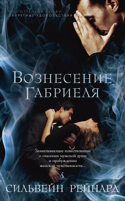 Читать онлайн книгу Вознесение Габриеля автор Рейнард Сильвейн Книга Вознесение Габриеля