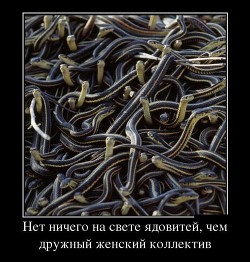 Читать онлайн книгу Телохранитель ее величества: Точка невозврата (СИ) автор Кусков Сергей Анатольевич Книга Телохранитель ее величества: Точка невозврата (СИ)
