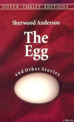 Читать онлайн книгу Яйцо автор Андерсон Шервуд Книга Яйцо