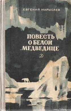 Читать онлайн книгу Пират автор Марысаев Евгений Клеоникович Книга Пират