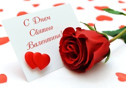 Читать онлайн книгу С днем святого Валентина! (СИ) автор Амарий Наталья Константиновна Книга С днем святого Валентина! (СИ)