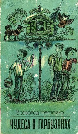 Читать онлайн книгу Чудеса в Гарбузянах автор Нестайко Всеволод Зиновьевич Книга Чудеса в Гарбузянах