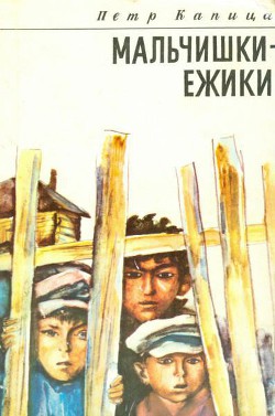Читать онлайн книгу Мальчишки-ежики автор Капица Петр Иосифович Книга Мальчишки-ежики