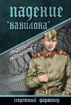 Читать онлайн книгу Падение «Вавилона» автор Молчанов Андрей Алексеевич Книга Падение «Вавилона»