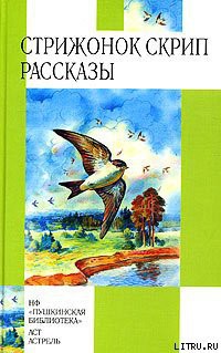 Читать онлайн книгу Стрижонок Скрип автор Астафьев Виктор Петрович Книга Стрижонок Скрип