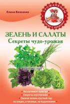 Читать онлайн книгу Зелень и салаты. Секреты чудо-урожая автор Власенко Елена Алексеевна Книга Зелень и салаты. Секреты чудо-урожая
