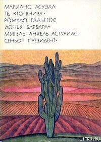 Читать онлайн книгу Синьор президент автор Астуриас Мигель Анхель Книга Синьор президент