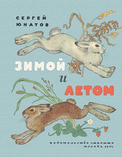 Читать онлайн книгу Зимой и летом автор Юнатов Сергей Книга Зимой и летом