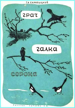 Читать онлайн книгу Грач. Галка. Сорока автор Скребицкий Георгий Алексеевич Книга Грач. Галка. Сорока