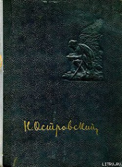 Читать онлайн книгу Рожденные бурей автор Островский Николай Алексеевич Книга Рожденные бурей