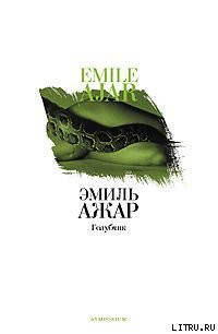 Читать онлайн книгу Голубчик автор Ажар Эмиль Книга Голубчик