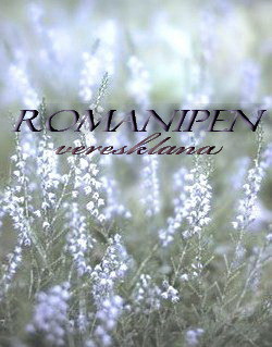 Читать онлайн книгу Romanipen (СИ) автор Книга Romanipen (СИ)