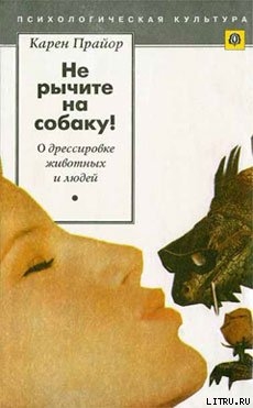Читать онлайн книгу Несущие ветер автор Прайор Карен Книга Несущие ветер