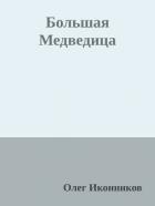 Читать онлайн книгу Большая Медведица (СИ) автор Иконников Олег Книга Большая Медведица (СИ)