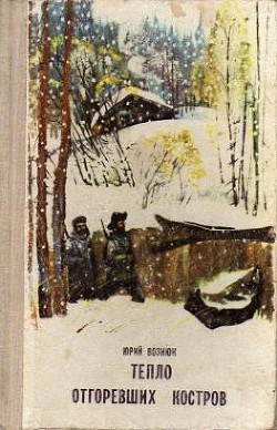 Читать онлайн книгу Тепло отгоревших костров автор Вознюк Юрий Владимирович Книга Тепло отгоревших костров