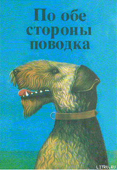 Читать онлайн книгу Последняя охота Дея автор Росс Дитрих Книга Последняя охота Дея