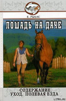 Читать онлайн книгу Лошадь на даче автор Рыбас Екатерина Святославовна Книга Лошадь на даче