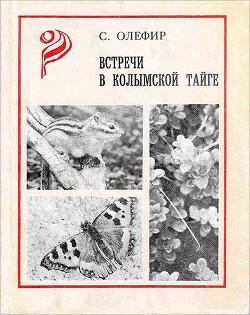 Читать онлайн книгу Встречи в Колымской тайге автор Олефир Станислав Михайлович Книга Встречи в Колымской тайге