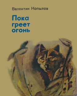 Книга Пока греет огонь