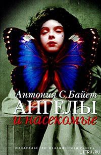 Читать онлайн книгу Ангел супружества автор Байетт Антония С. Книга Ангел супружества