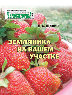 Читать онлайн книгу Земляника на вашем участке автор Щекин Владимир Алексеевич Книга Земляника на вашем участке