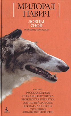 Читать онлайн книгу Зеркало с дыркой автор Павич Милорад Книга Зеркало с дыркой