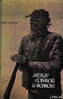 Читать онлайн книгу Между собакой и волком автор Соколов Саша Книга Между собакой и волком