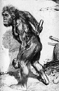 Книга Аналитическая записка о событиях во Франции осенью 2005 года