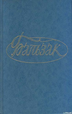 Читать онлайн книгу Поручение автор де Бальзак Оноре Книга Поручение