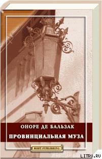 Читать онлайн книгу Провинциальная муза автор де Бальзак Оноре Книга Провинциальная муза