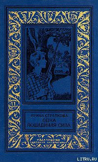 Читать онлайн книгу Опять Киселев автор Стрелкова Ирина Ивановна Книга Опять Киселев